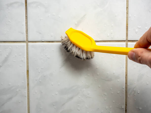 Best Kitchen Mold Remediation in , RI