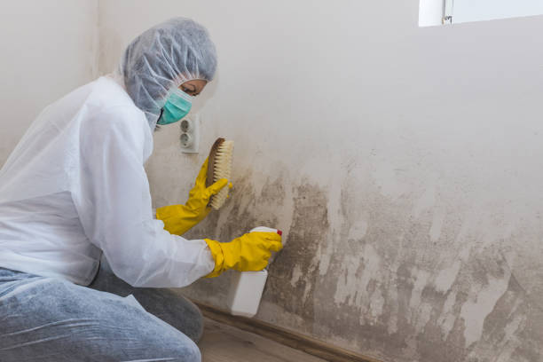 Best Crawl Space Mold Remediation in , RI