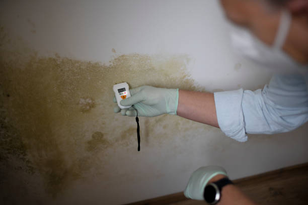 Best Mold Testing and Inspection Services in , RI