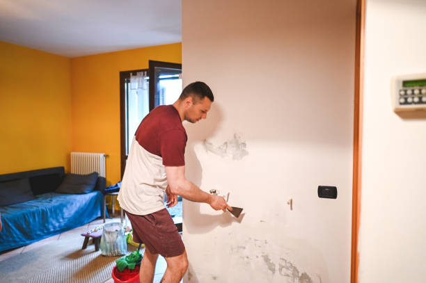Best Post-Flood Mold Remediation in , RI