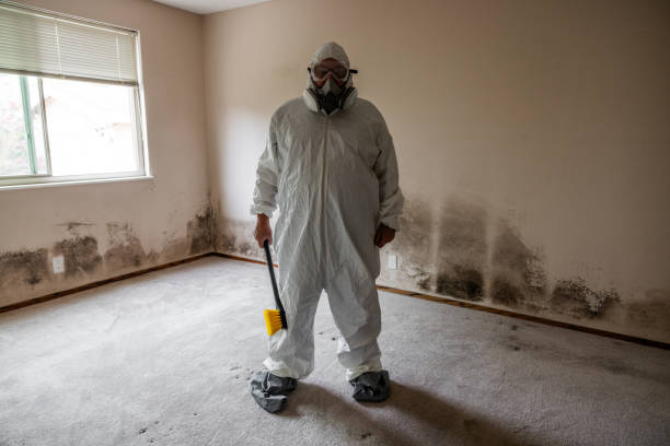 Best Bathroom Mold Remediation in , RI